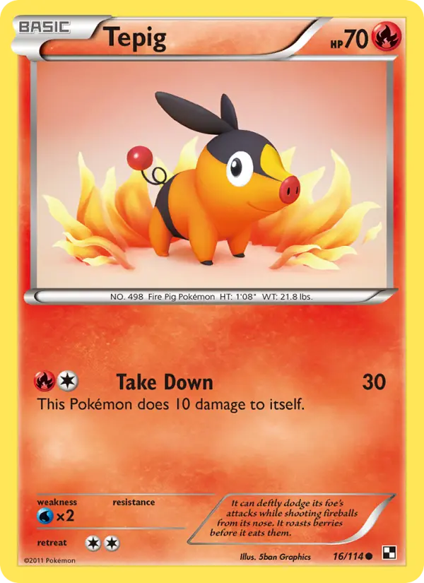 Tepig (#16) — BW 016