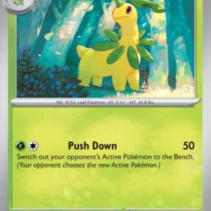 Bayleef (#009) — MEG 009