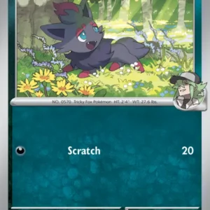 N's Zorua (#136) — ASC 136