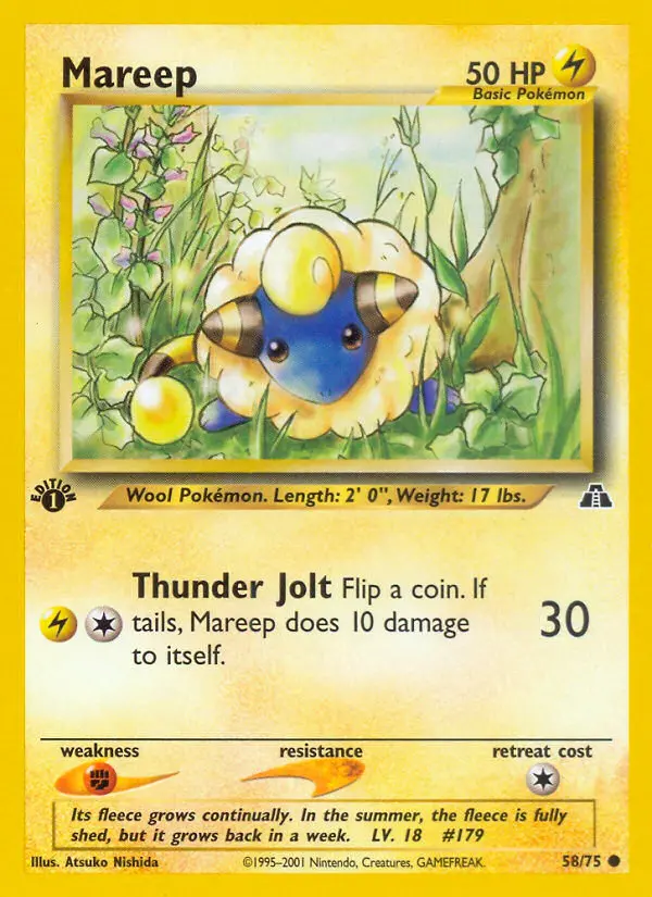 Mareep (#58) — NDI 058