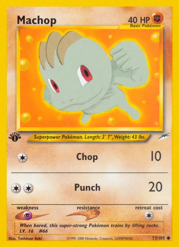 Machop (#73) — NDE 073