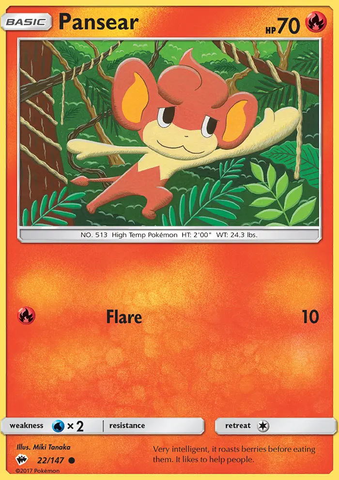 Pansear (#22) — BUS 022