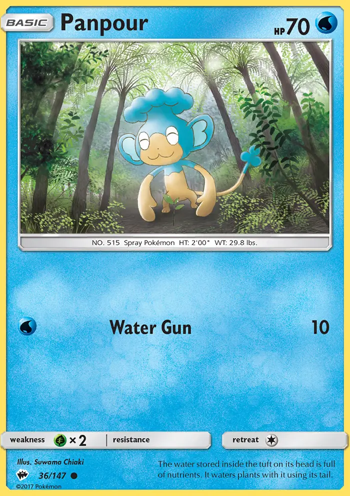 Panpour (#36) — BUS 036