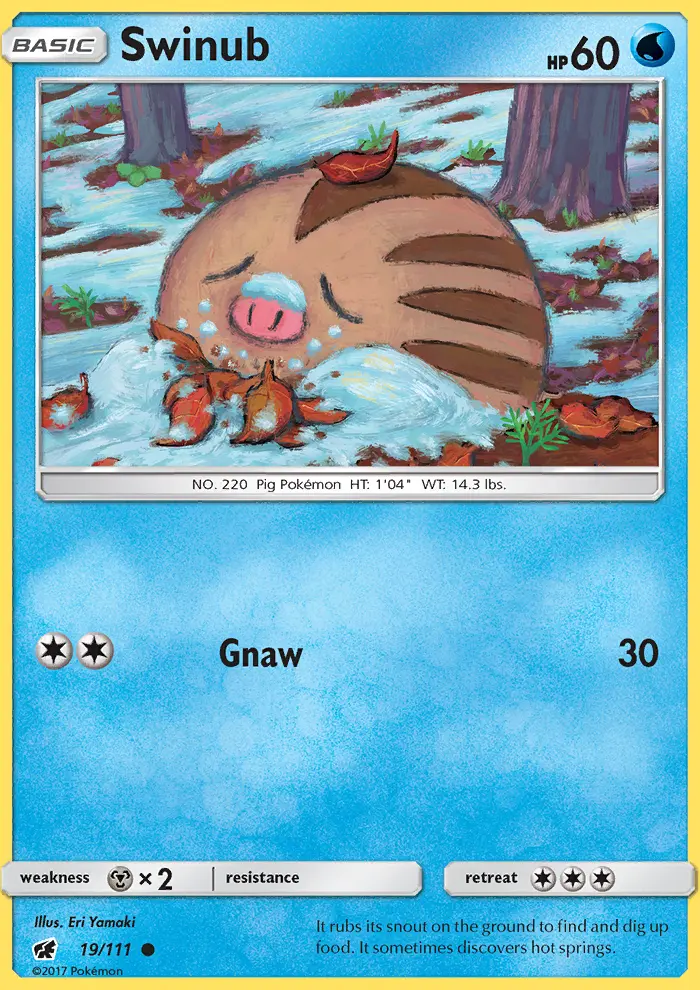 Swinub (#19) — CIN 019