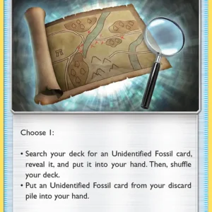 Fossil Excavation Map (#107) — FLI 107