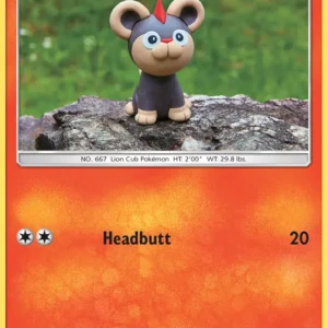 Litleo (#18) — FLI 018