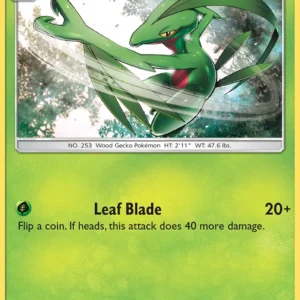 Grovyle (#9) — CES 009