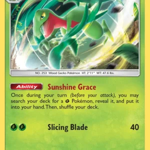 Grovyle (#21) — LOT 021