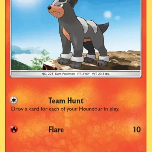 Houndour (#45) — LOT 045