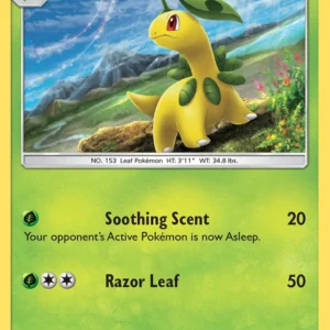 Bayleef (#7) — LOT 007