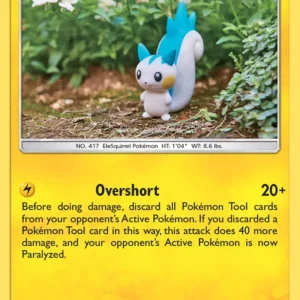 Pachirisu (#80) — LOT 080