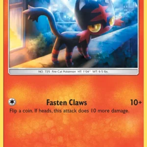 Litten (#20) — TEU 020