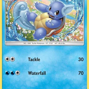 Wartortle (#24) — TEU 024