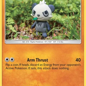 Pancham (#81) — TEU 081