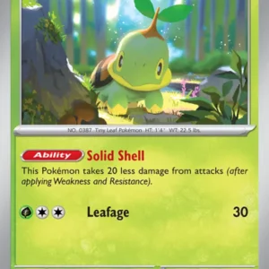 Turtwig (#010) — TEF 010