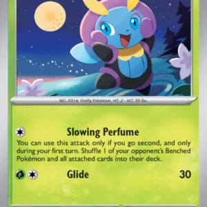 Illumise (#010) — TWM 010