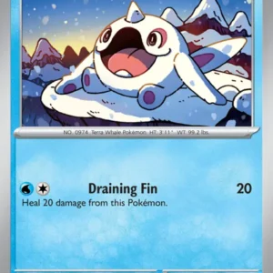 Cetoddle (#053) — SSP 053