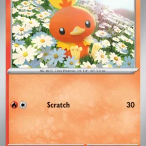 Torchic (#022) — JTG 022