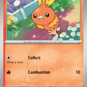 Torchic (#040) — DRI 040