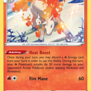 Rapidash (#022) — SIT 022
