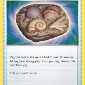 Unidentified Fossil (#165) — SIT 165