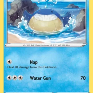 Wailmer (#031) — CRZ 031