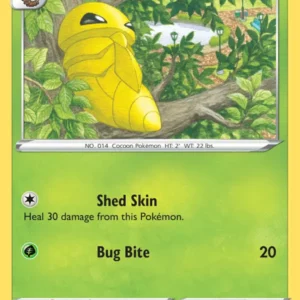 Kakuna (#2) — VIV 002