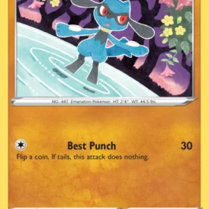 Riolu (#90) — VIV 090