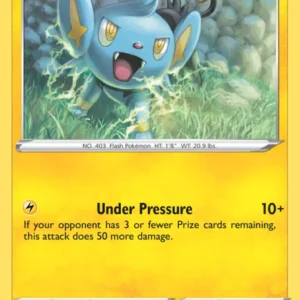 Shinx (#31) — SHF 031