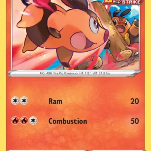 Tepig (#23) — BST 023
