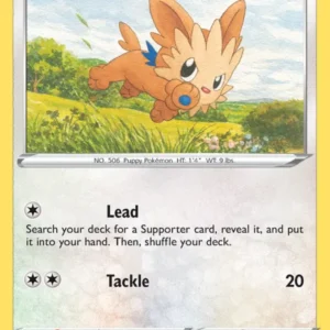 Lillipup (#133) — EVS 133