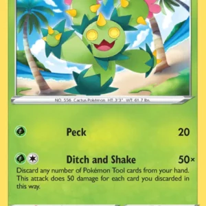 Maractus (#12) — FST 012