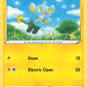 Shinx (#91) — FST 091