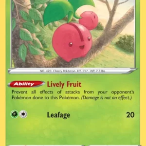 Cherubi (#012) — BRS 012