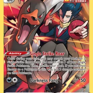 Houndoom (#TG10) — BRS TG10