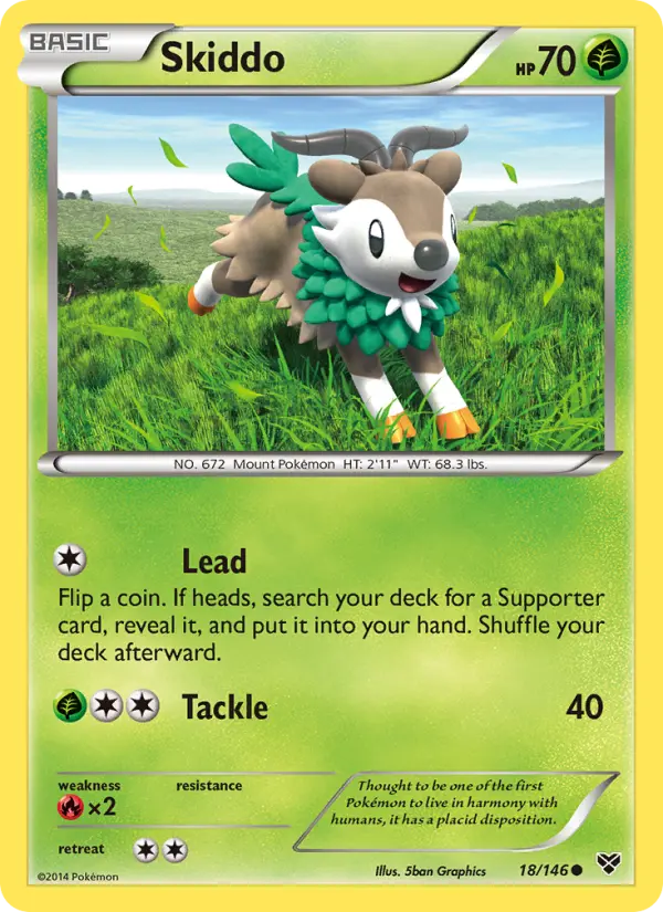 Skiddo (#18) — XY 018