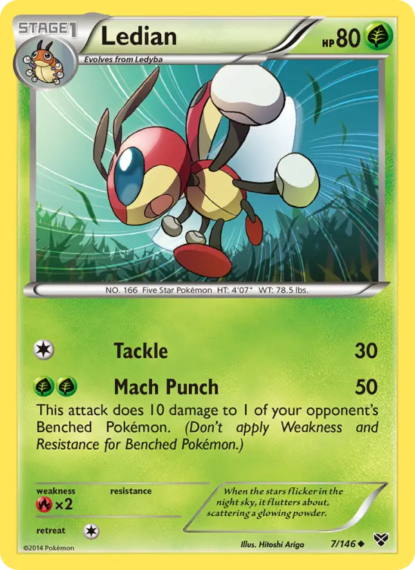 Ledian (#7) — XY 007