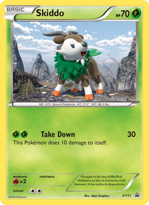 Skiddo (#XY11) — XYBP XY11