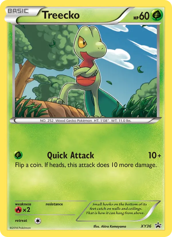 Treecko (#XY36) — XYBP XY36