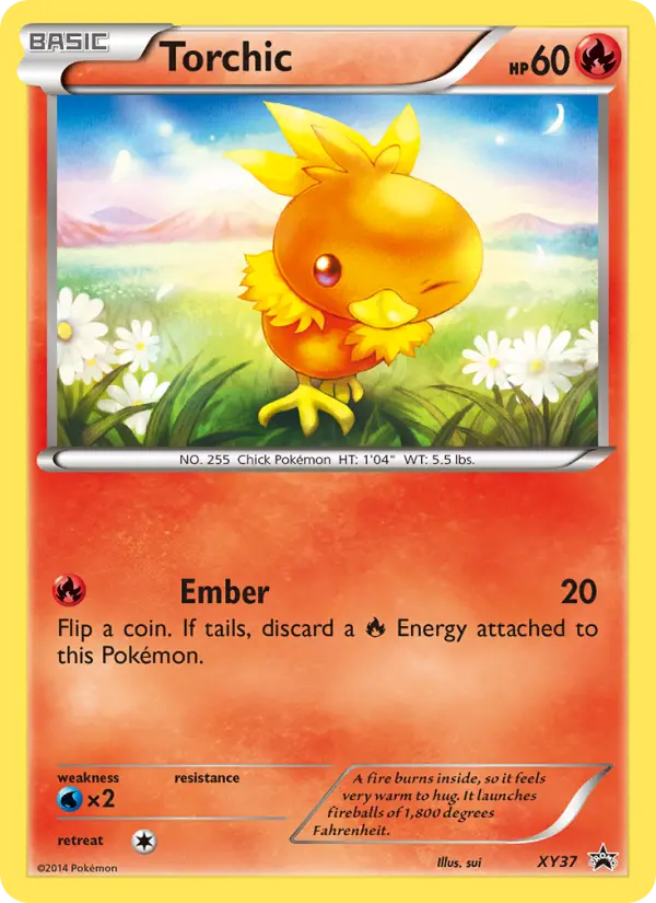 Torchic (#XY37) — XYBP XY37