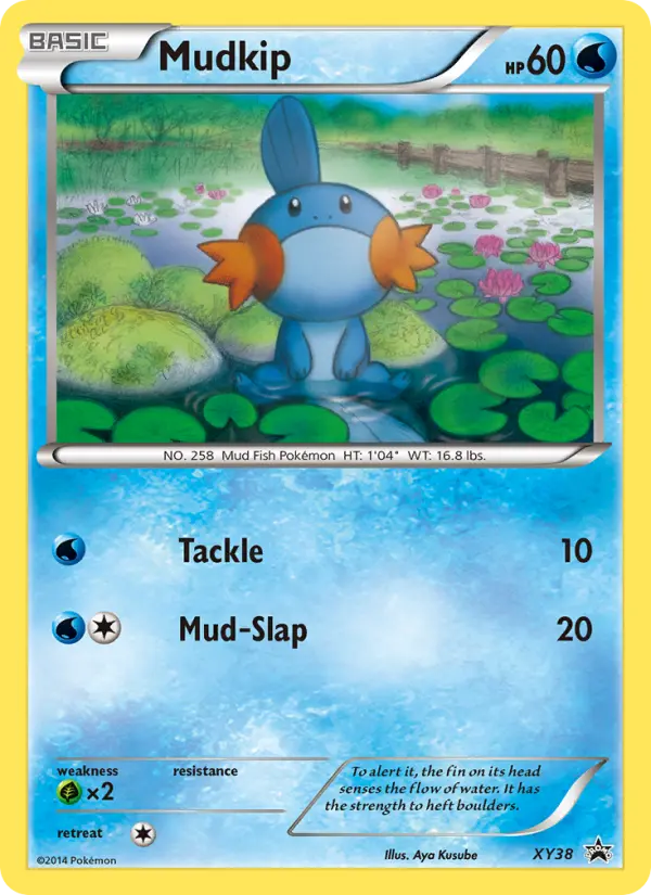 Mudkip (#XY38) — XYBP XY38