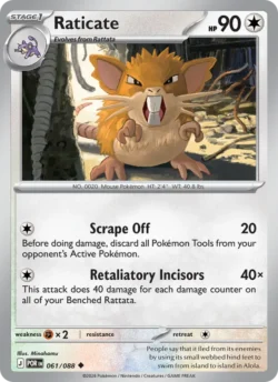 Raticate (#061) Reverse Holo — Reverse Holo — POR 061