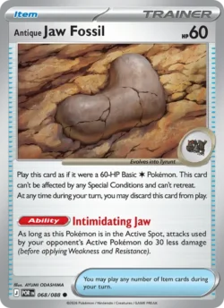 Antique Jaw Fossil (#068) — POR 068