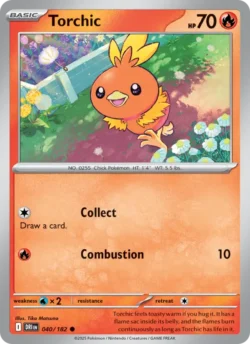 Torchic (#040) — Reverse Holo — DRI 040