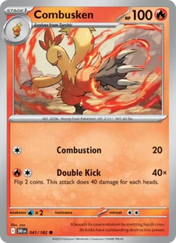Combusken (#041) — Reverse Holo — DRI 041