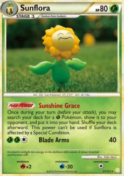 Sunflora (#31) — HS 31