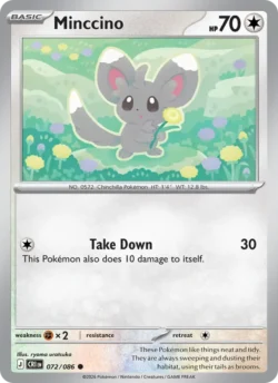 Minccino (#072) — CRI 072